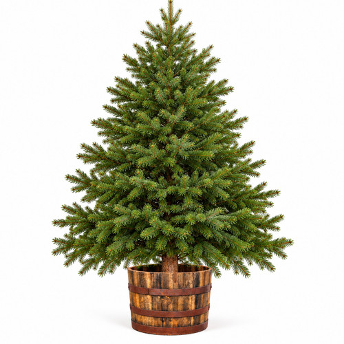 Heavy duty solid oak half - solid,